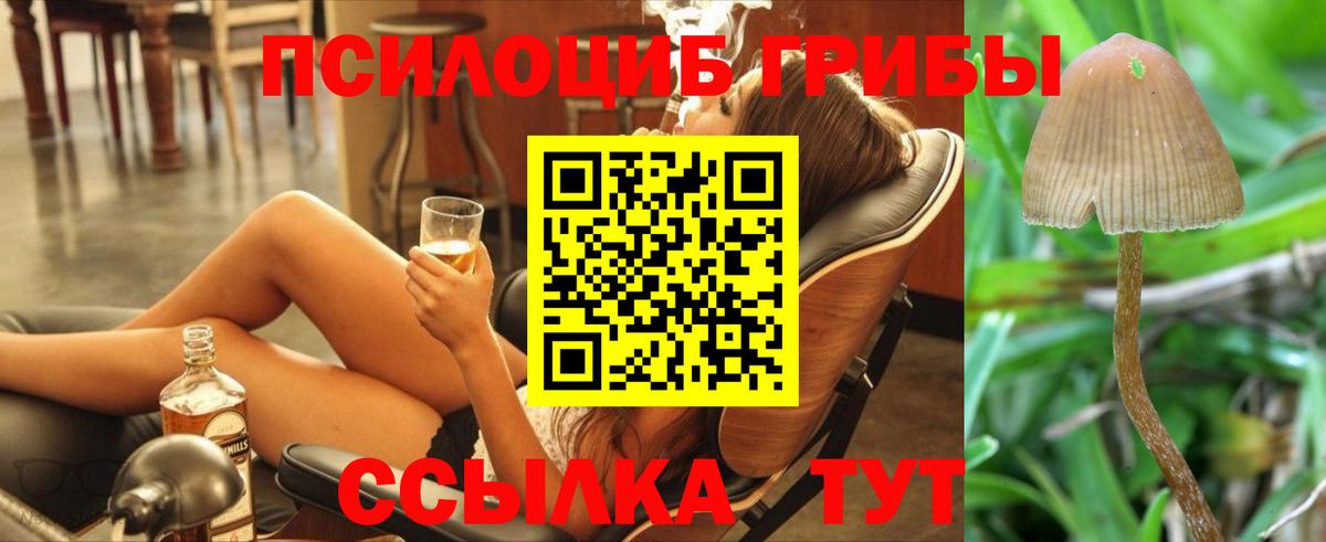 Галлюциногенные грибы MAGIC MUSHROOMS Стрежевой